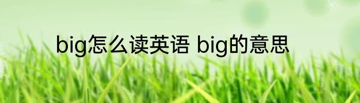 big怎么读英语 big的意思