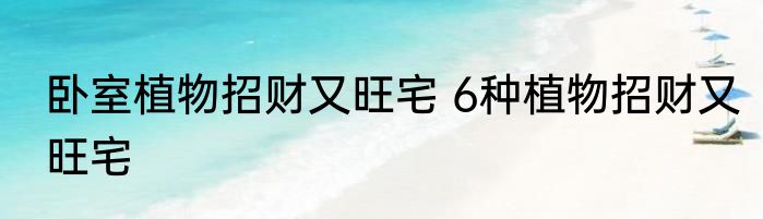 卧室植物招财又旺宅 6种植物招财又旺宅