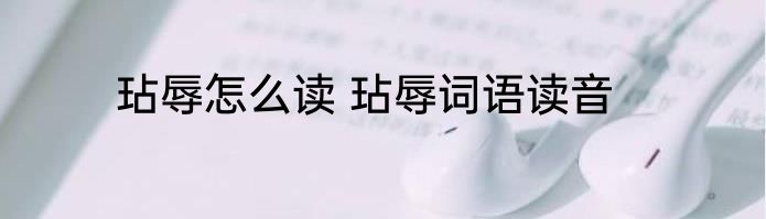 玷辱怎么读 玷辱词语读音