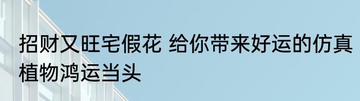 招财又旺宅假花 给你带来好运的仿真植物鸿运当头