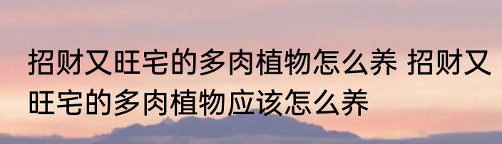招财又旺宅的多肉植物怎么养 招财又旺宅的多肉植物应该怎么养