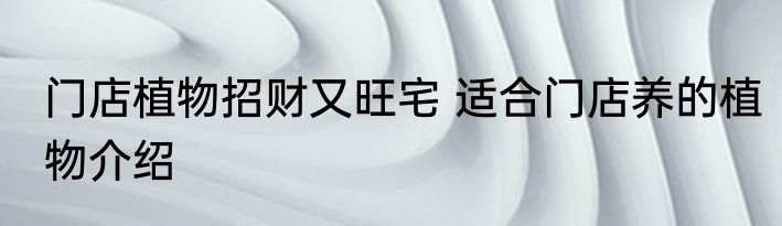 门店植物招财又旺宅 适合门店养的植物介绍