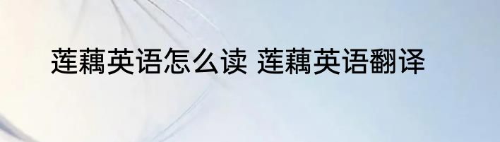 莲藕英语怎么读 莲藕英语翻译