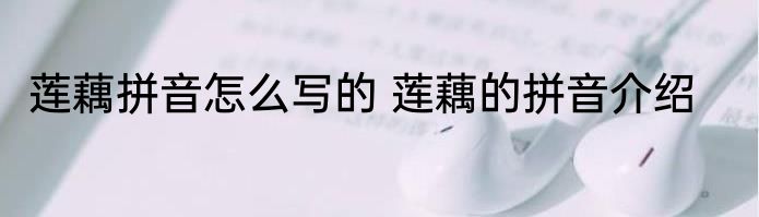 莲藕拼音怎么写的 莲藕的拼音介绍