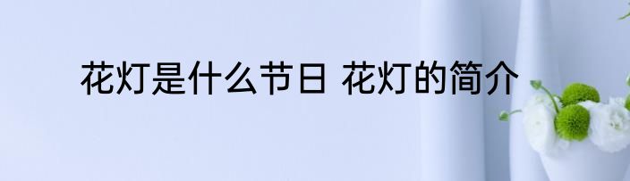 花灯是什么节日 花灯的简介