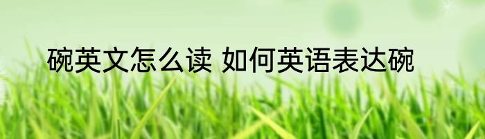 碗英文怎么读 如何英语表达碗