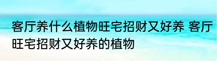 客厅养什么植物旺宅招财又好养 客厅旺宅招财又好养的植物