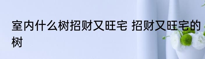 室内什么树招财又旺宅 招财又旺宅的树