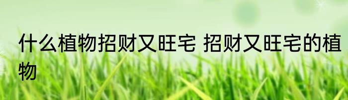 什么植物招财又旺宅 招财又旺宅的植物