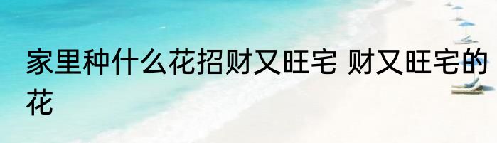 家里种什么花招财又旺宅 财又旺宅的花