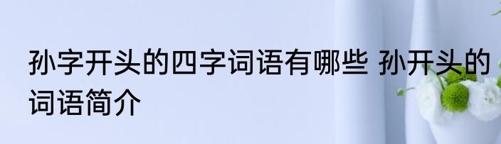 孙字开头的四字词语有哪些 孙开头的词语简介