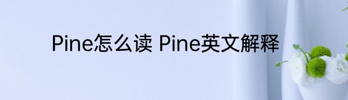 Pine怎么读 Pine英文解释