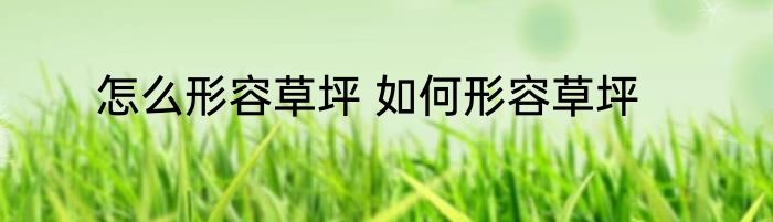 怎么形容草坪 如何形容草坪