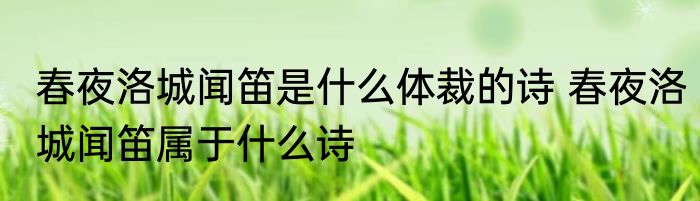 春夜洛城闻笛是什么体裁的诗 春夜洛城闻笛属于什么诗