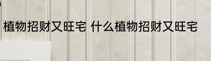 植物招财又旺宅 什么植物招财又旺宅