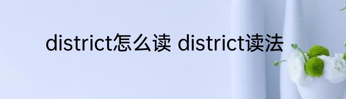district怎么读 district读法