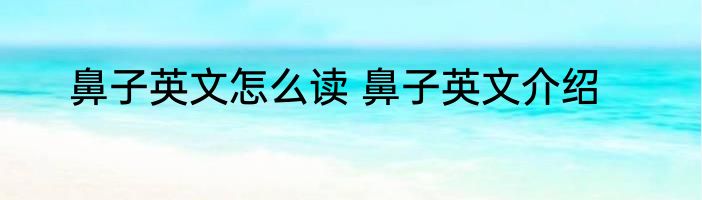 鼻子英文怎么读 鼻子英文介绍