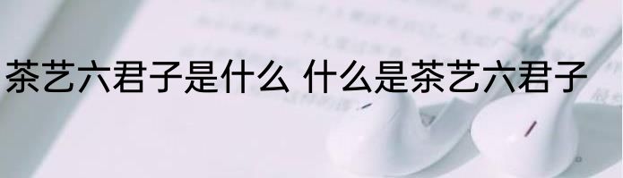 茶艺六君子是什么 什么是茶艺六君子