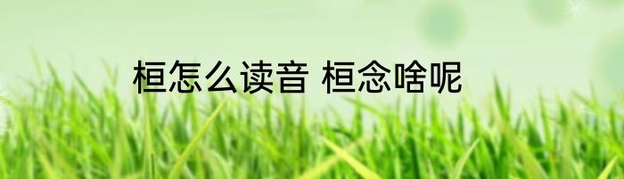 桓怎么读音 桓念啥呢