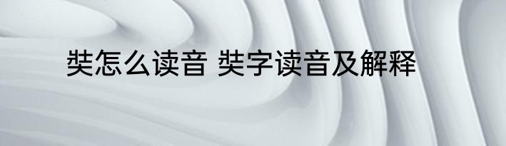 奘怎么读音 奘字读音及解释