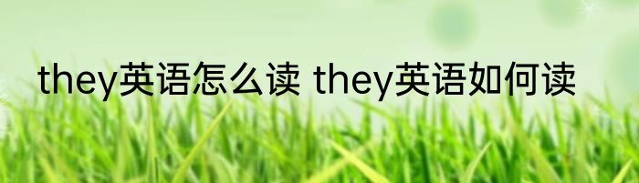 they英语怎么读 they英语如何读