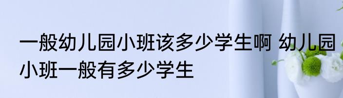 一般幼儿园小班该多少学生啊 幼儿园小班一般有多少学生