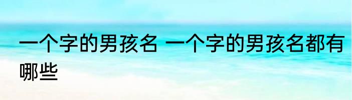 一个字的男孩名 一个字的男孩名都有哪些