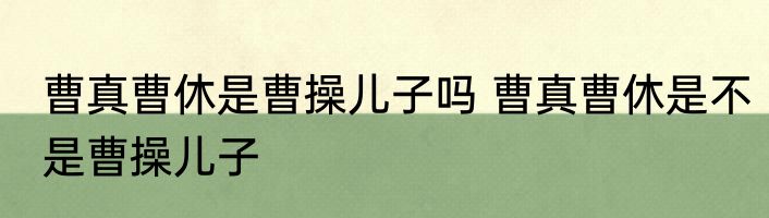 曹真曹休是曹操儿子吗 曹真曹休是不是曹操儿子