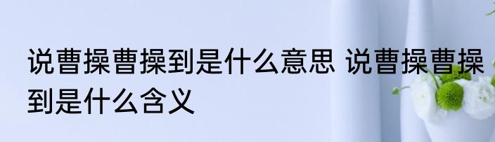 说曹操曹操到是什么意思 说曹操曹操到是什么含义
