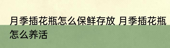 月季插花瓶怎么保鲜存放 月季插花瓶怎么养活