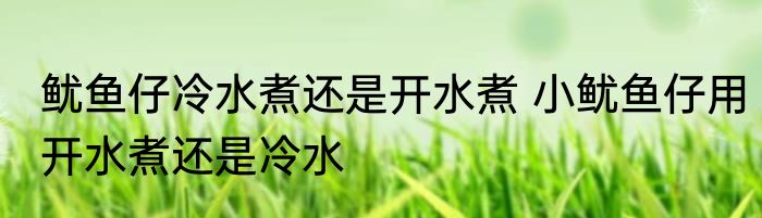 鱿鱼仔冷水煮还是开水煮 小鱿鱼仔用开水煮还是冷水
