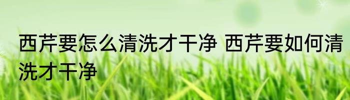 西芹要怎么清洗才干净 西芹要如何清洗才干净