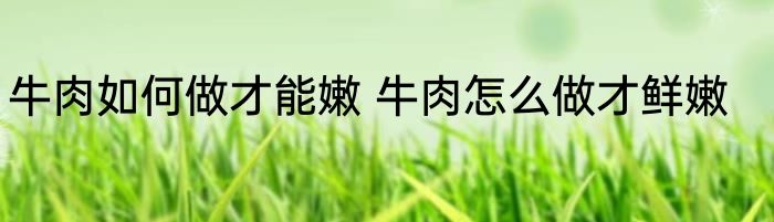牛肉如何做才能嫩 牛肉怎么做才鲜嫩