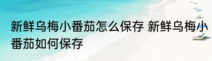 新鲜乌梅小番茄怎么保存 新鲜乌梅小番茄如何保存