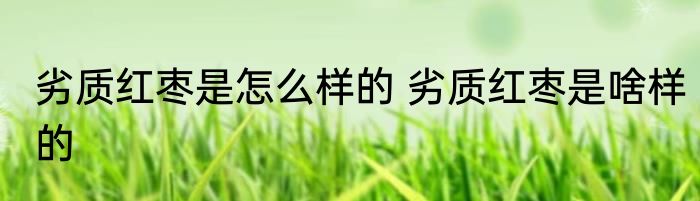 劣质红枣是怎么样的 劣质红枣是啥样的