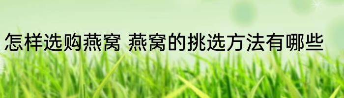 怎样选购燕窝 燕窝的挑选方法有哪些