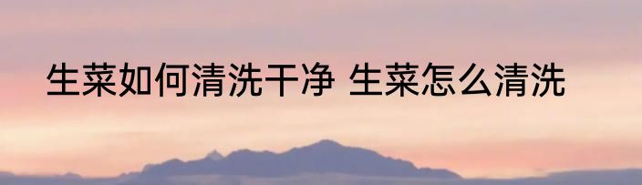 生菜如何清洗干净 生菜怎么清洗