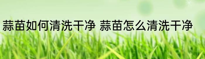 蒜苗如何清洗干净 蒜苗怎么清洗干净