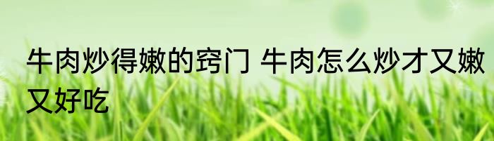 牛肉炒得嫩的窍门 牛肉怎么炒才又嫩又好吃