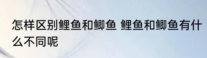 怎样区别鲤鱼和鲫鱼 鲤鱼和鲫鱼有什么不同呢