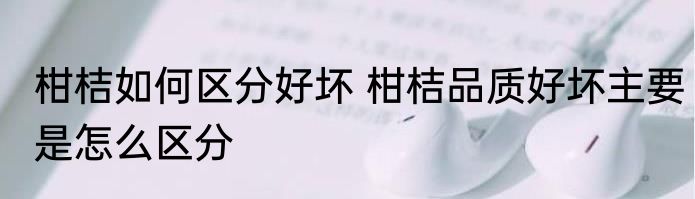 柑桔如何区分好坏 柑桔品质好坏主要是怎么区分