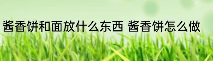 酱香饼和面放什么东西 酱香饼怎么做