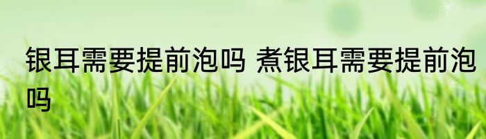 银耳需要提前泡吗 煮银耳需要提前泡吗