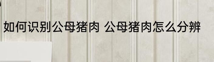 如何识别公母猪肉 公母猪肉怎么分辨