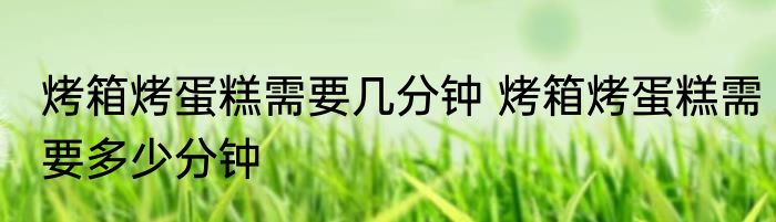 烤箱烤蛋糕需要几分钟 烤箱烤蛋糕需要多少分钟