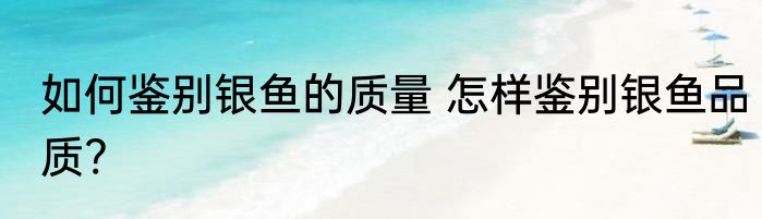 如何鉴别银鱼的质量 怎样鉴别银鱼品质?