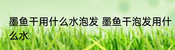 墨鱼干用什么水泡发 墨鱼干泡发用什么水