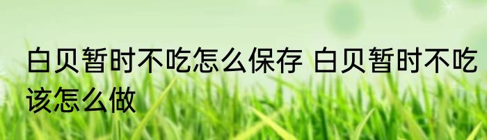 白贝暂时不吃怎么保存 白贝暂时不吃该怎么做