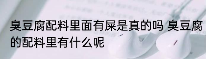 臭豆腐配料里面有屎是真的吗 臭豆腐的配料里有什么呢