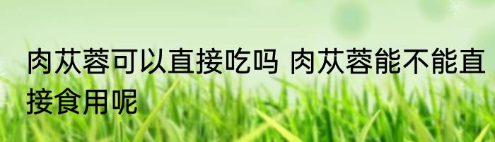 肉苁蓉可以直接吃吗 肉苁蓉能不能直接食用呢